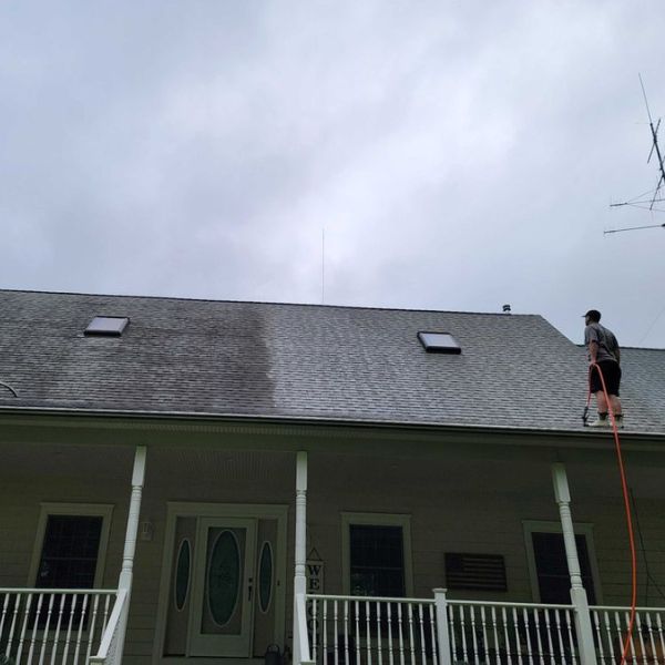 Roof Cleaning In Lochearn Md