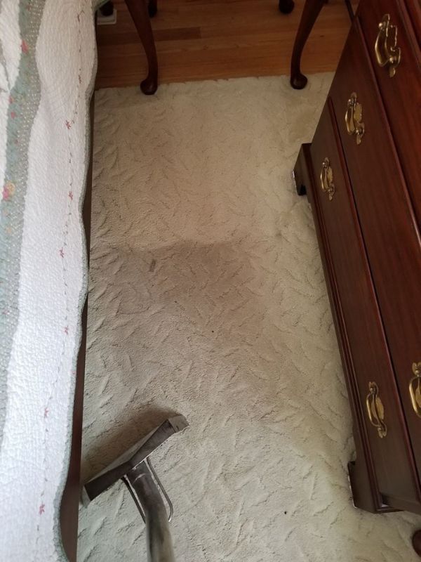 Oriental Rug Cleaning In White Marsh Md