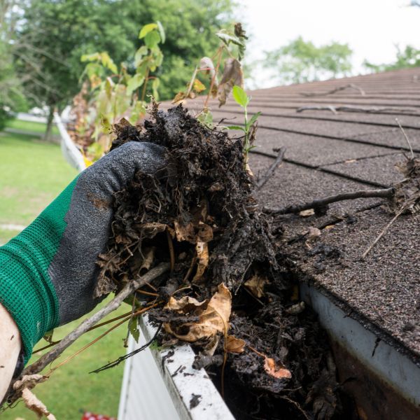 Gutter Cleaning In Parkville Md