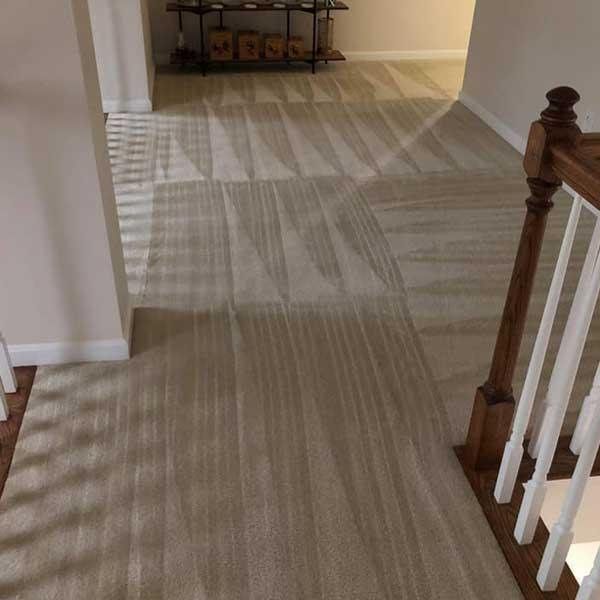 Carpet Cleaning In Hampton Md