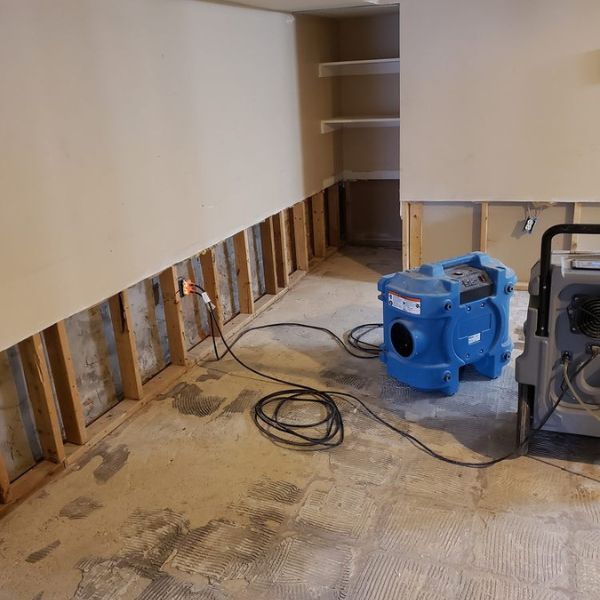 Mold Remediation In Randallstown Md
