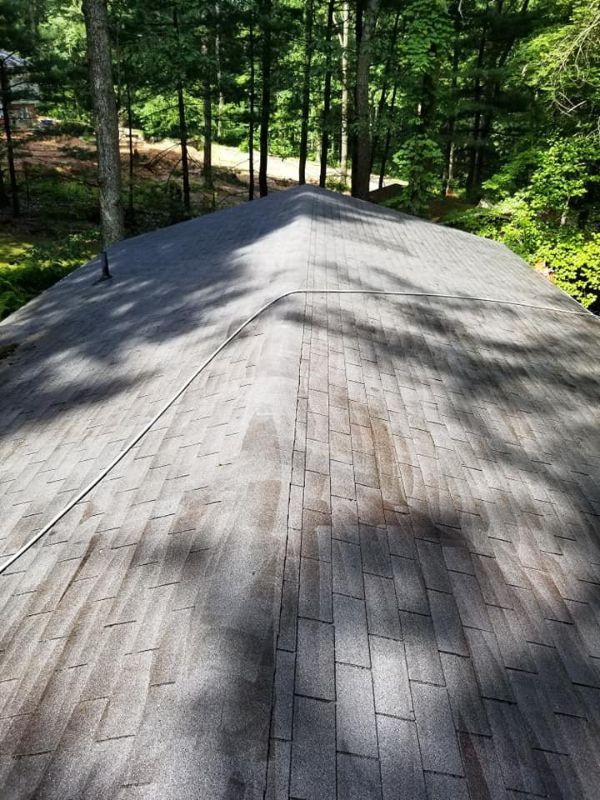 Professional Roof Cleaning Service